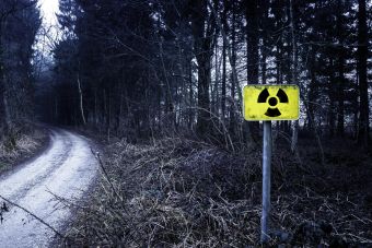 A radiation warning sign by a forest pathway in a gloomy setting.